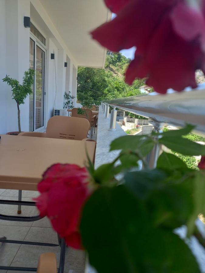 Vladimir Estate Hotel Gjirokastër 외부 사진